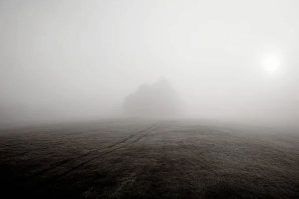 Fog over hill and distant trees — Stock Photo, Image