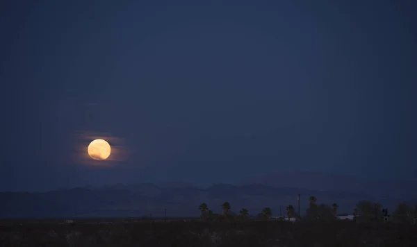 Wonder Valley, Twentynine Palms, Kalifornia, Usa — Zdjęcie stockowe