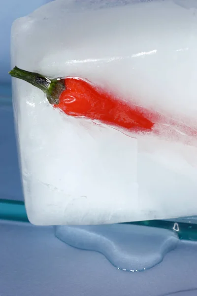 Chili pepper in ice — Stock Photo, Image