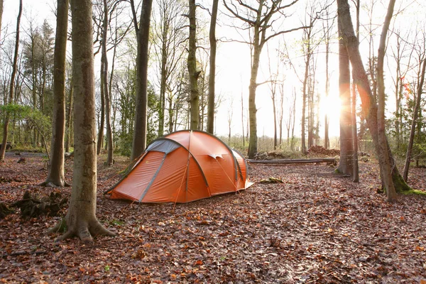 Zelt im Herbstwald aufgeschlagen — Stockfoto