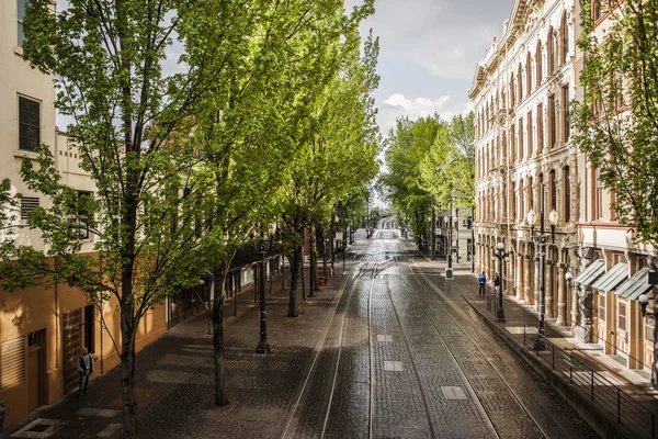 Empty tree-lined cobblestone street with tram lines, Portland, Oregon, US