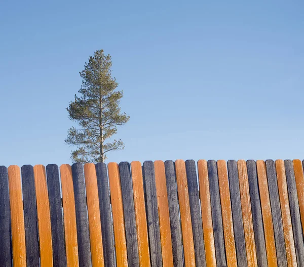 Recinzione Legno Nero Arancio Albero Sullo Sfondo — Foto Stock