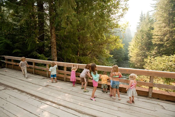 Gruppo Bambini Piedi Sul Ponte Legno Nella Foresta — Foto Stock