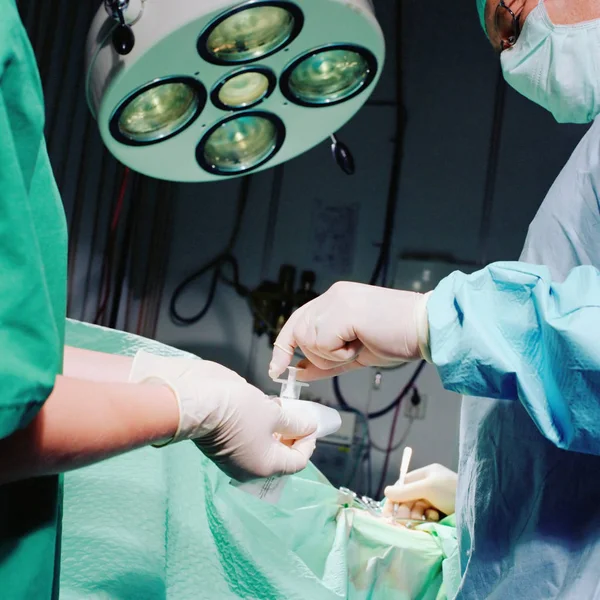 Infirmière Qui Manipule Des Outils Stériles — Photo