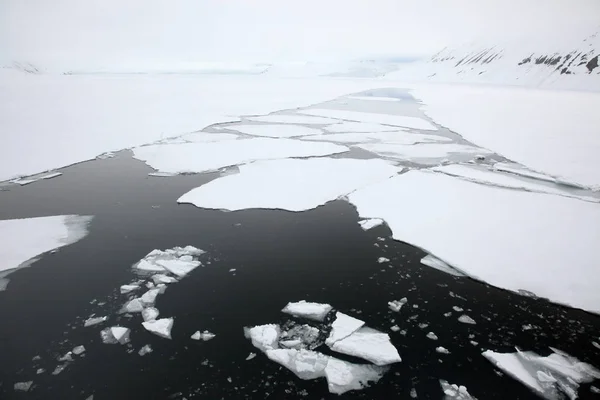Flota de hielo, Archipiélago Svalbard, Noruega —  Fotos de Stock