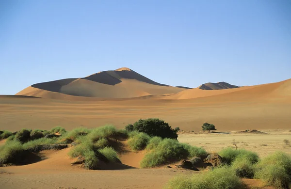 Namib Poušť Nad Modrou Oblohou — Stock fotografie