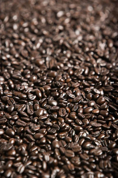 Kávébab Közelről — Stock Fotó