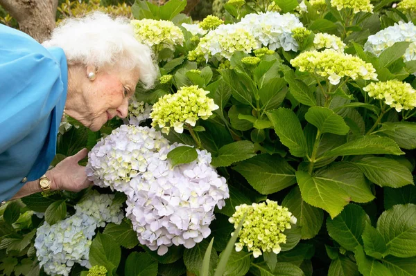 Uma Mulher Idosa Cheirar Flores — Fotografia de Stock