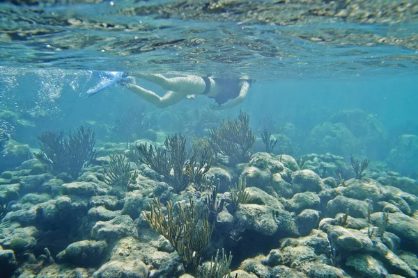 Сноркелер плавает под водой над кораллами — стоковое фото
