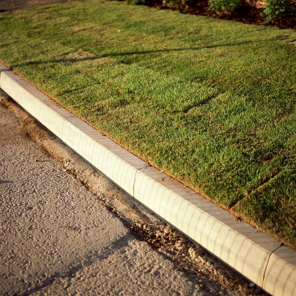 Uitzicht Tuin Pad — Stockfoto