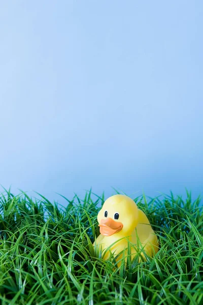 Eine Gummiente Auf Grünem Gras — Stockfoto