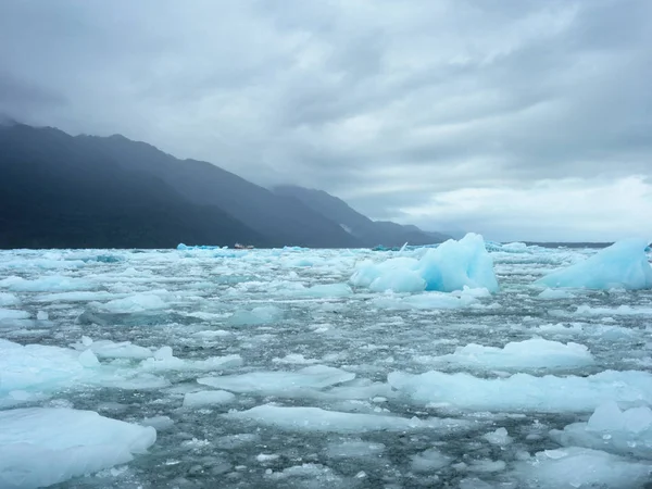 Icebergs laguna san rafael parque nacional — Foto de Stock