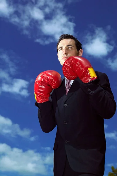 Bonito Jovem Empresário Vestindo Luvas Boxe — Fotografia de Stock