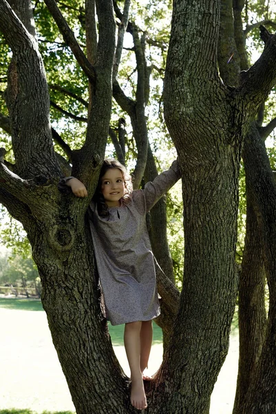 Jähriges Mädchen Steht Einem Baum — Stockfoto