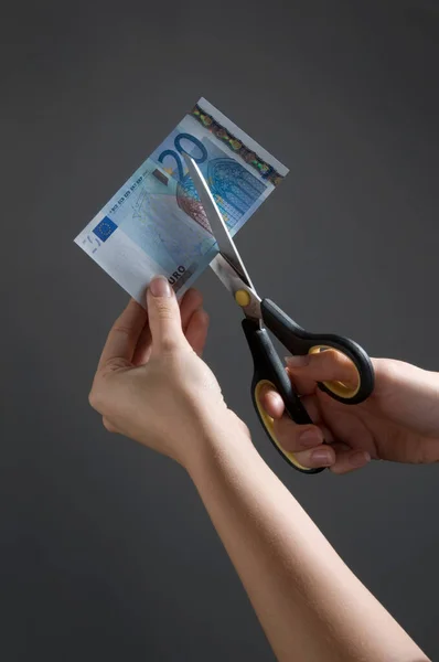 Female Hands Cutting Euro Note — kuvapankkivalokuva