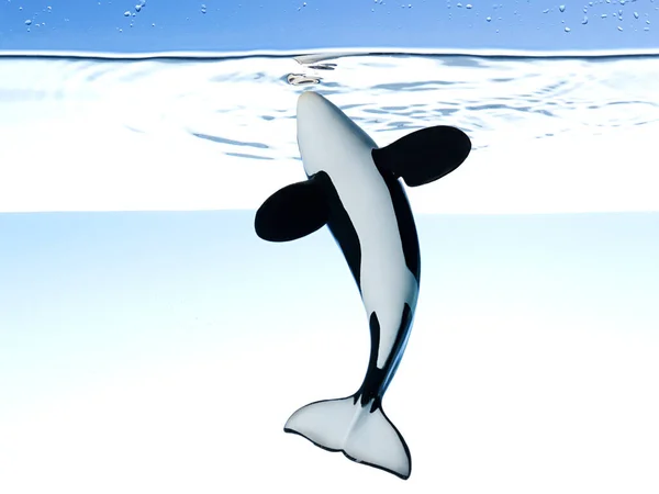 Toy Killer Whale — Stock Photo, Image