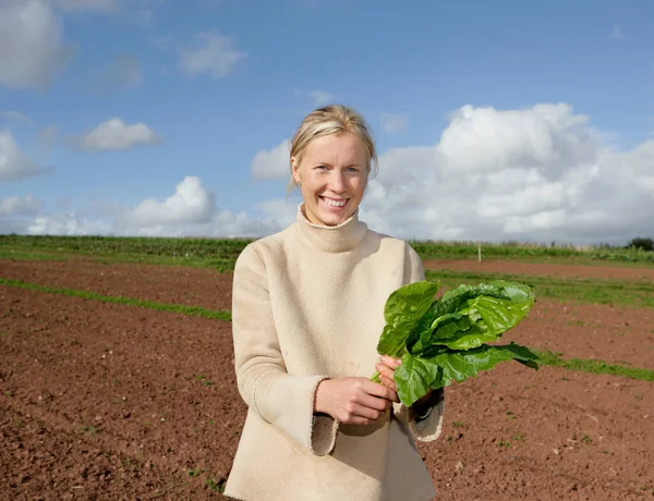 Farm Worker Holds Spinach — Stock Photo, Image