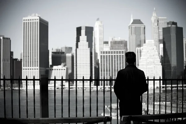 El hombre manhattan Stock Photos, Royalty Free El hombre manhattan