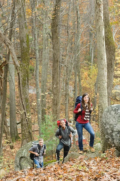 森の中をハイキングする若者 — ストック写真