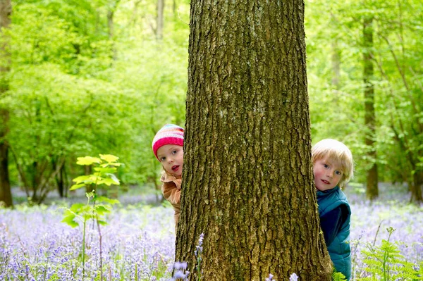 Crianças Escondidas Atrás Uma Árvore — Fotografia de Stock