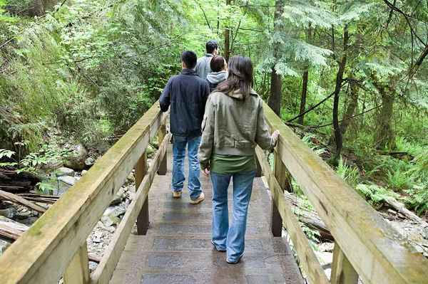 People on a bridge in forest