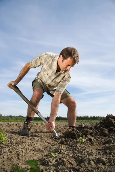 Orta Yaşlı Bir Adam Tarlayı Kazıyor — Stok fotoğraf