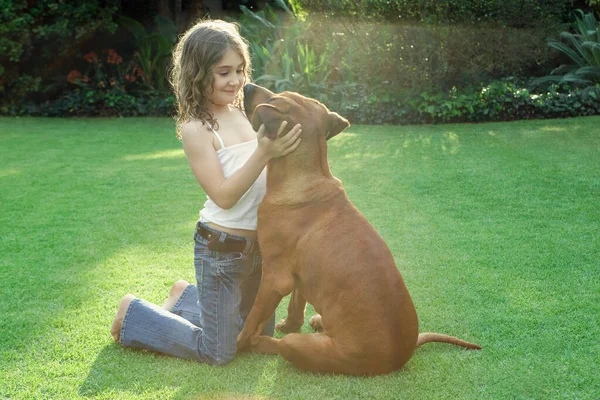 Menina Brincando Com Cão — Fotografia de Stock