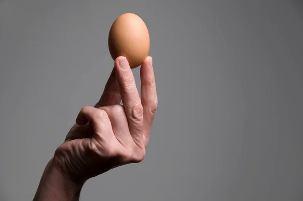 Female Hand Holding Egg — Stock Photo, Image