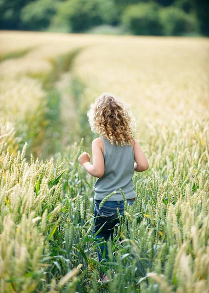 Chemin Marche Pour Les Jeunes Filles Dans Les Champs Maïs — Photo