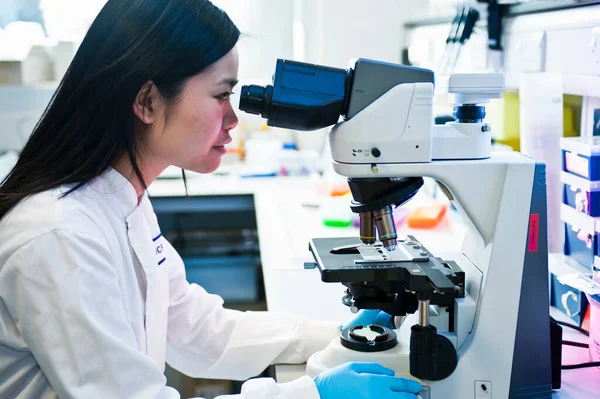 Scientist Using Microscope Lab — Stock Photo, Image