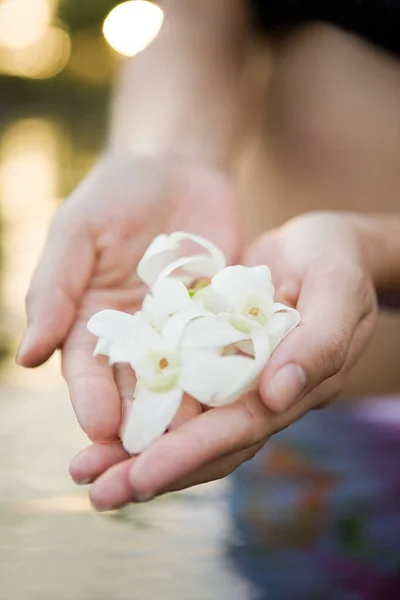 Kvinna Som Håller Blommor Närbild — Stockfoto