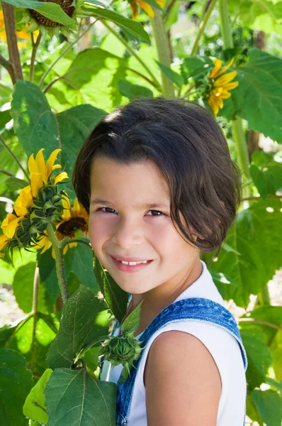 Schattig Klein Meisje Zonnebloemen — Stockfoto