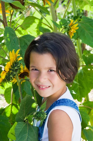 Adorável Menina Girassóis — Fotografia de Stock