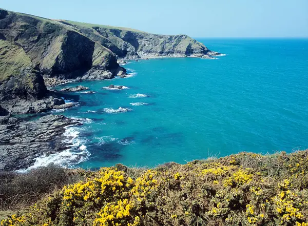 Cornish Coast Top View — 图库照片