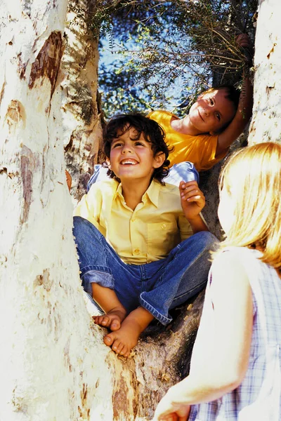 Niños Árbol —  Fotos de Stock