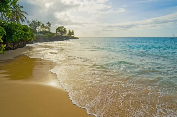 Idyllic Plajı Denizi Pigeon Point Tobago — Stok fotoğraf