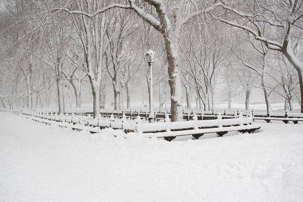 Park covered in snow