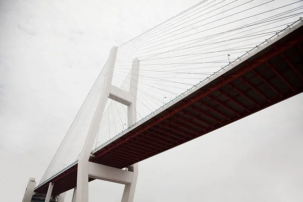 Čína Šanghaj Most Nanpu — Stock fotografie