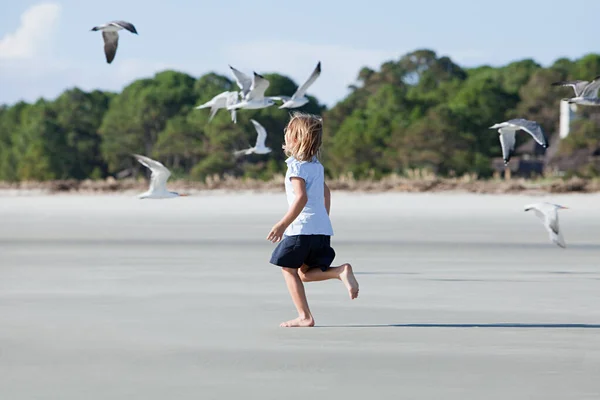 Menina Correndo Praia Entre Gaivotas — Fotografia de Stock