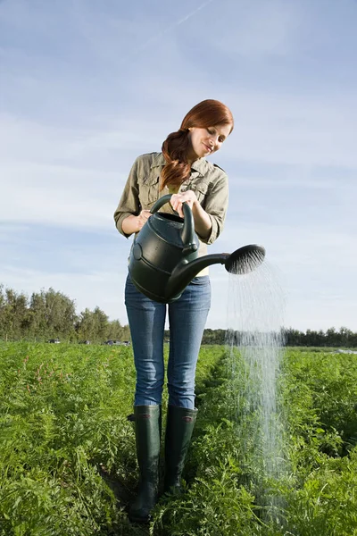 Frau Gießt Ernte Auf Feld Mit Gießkanne — Stockfoto