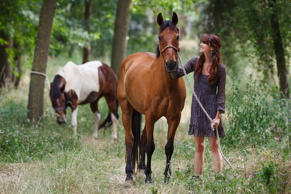 Femme Cheval Marche Dans Forêt — Photo