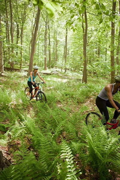 Två Kvinnliga Cyklister Skogen — Stockfoto