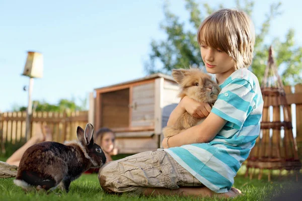 Boy Jugando Con Conejo Jardín — Foto de Stock