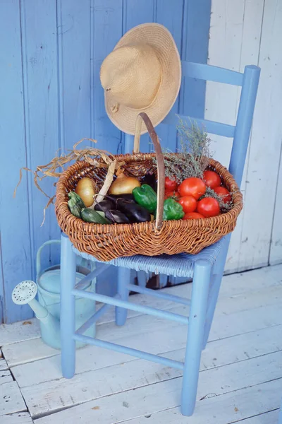 Basket Vegetables Herbs — Stock Photo, Image