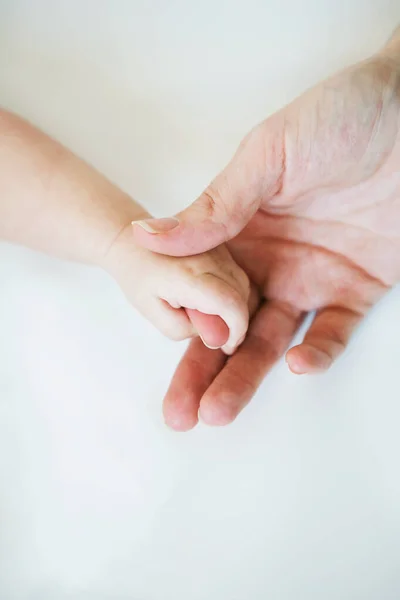 Adult Holding Baby Hand Close — Stock Photo, Image