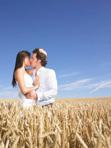小麦田里的年轻夫妇 — 图库照片