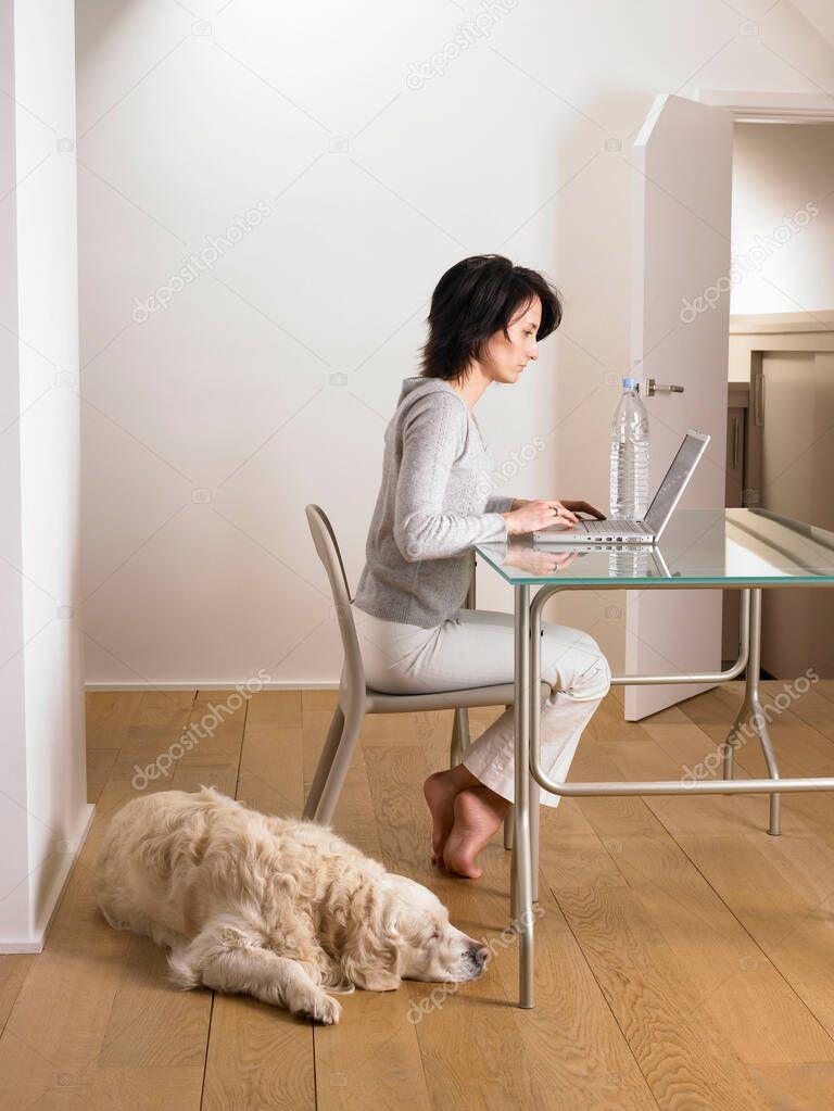 Woman at her desk, dog sleeping