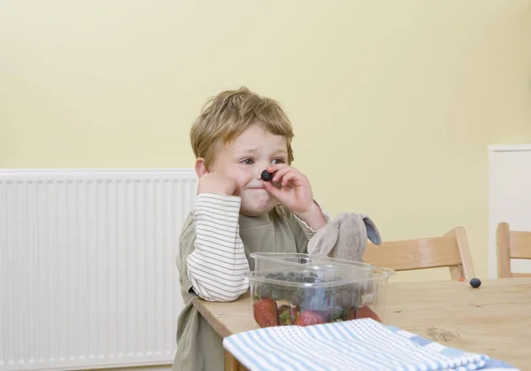 Boy Holding Bär Näsan — Stockfoto