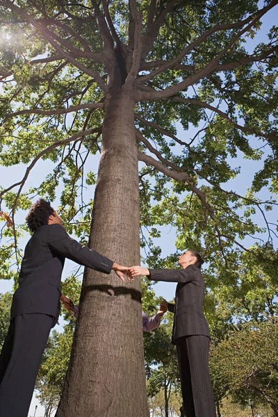 Empresaspessoas Segurando Mãos Torno Uma Árvore — Fotografia de Stock
