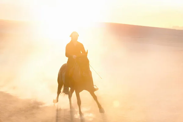 Silhouet Van Mens Paardrijden Het Veld — Stockfoto